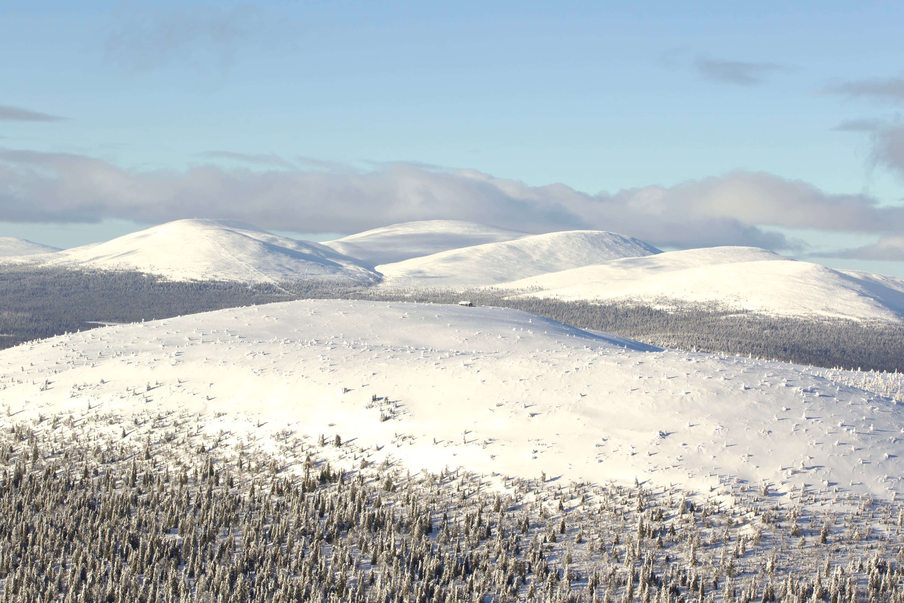 Private Ski Adventure in Pallas National Park