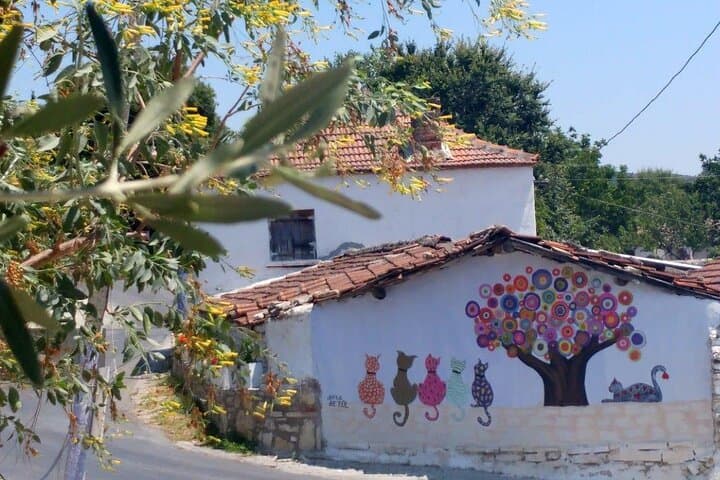 Kusadasi Port Turkish Village Private Tour