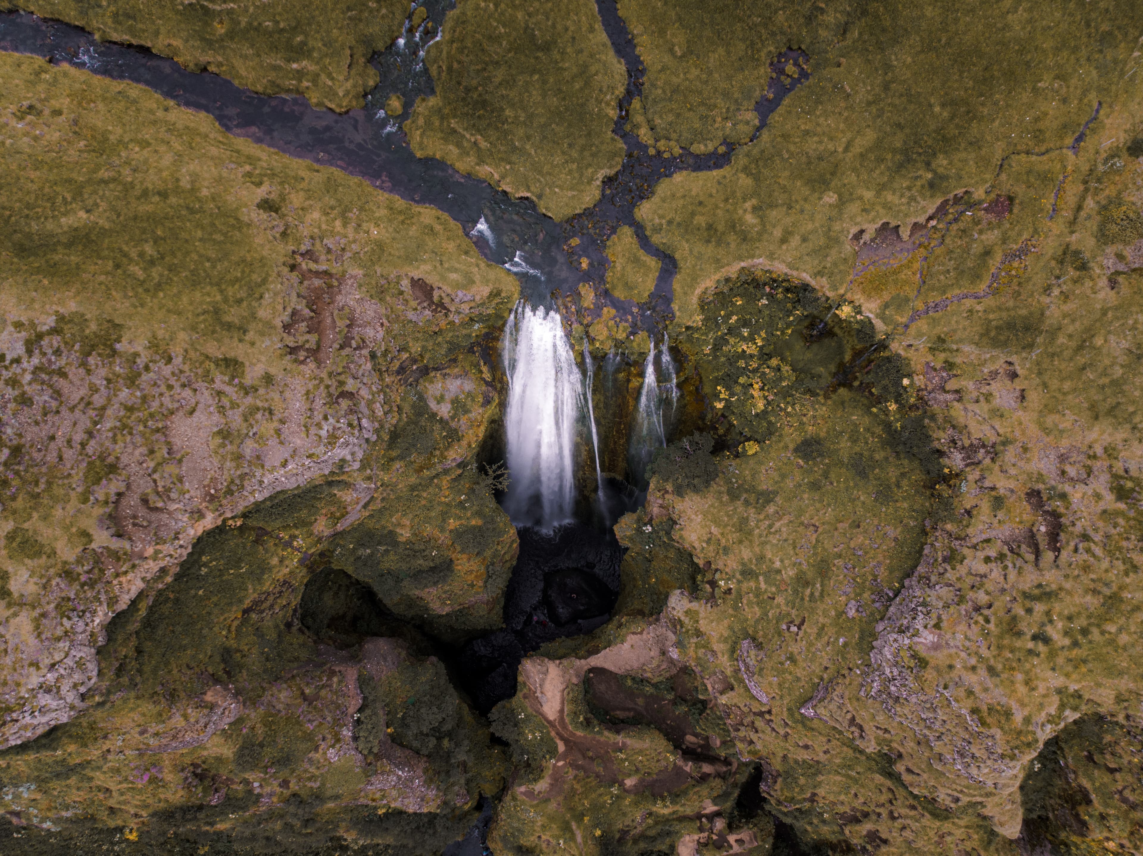 Private South Coast tour 