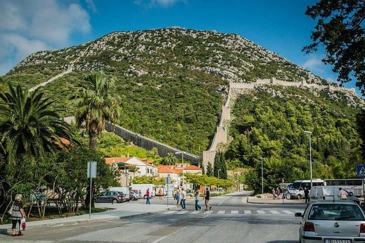 Private Tour: Ston and Peljesac Wine Tasting with Lunch from Dubrovnik