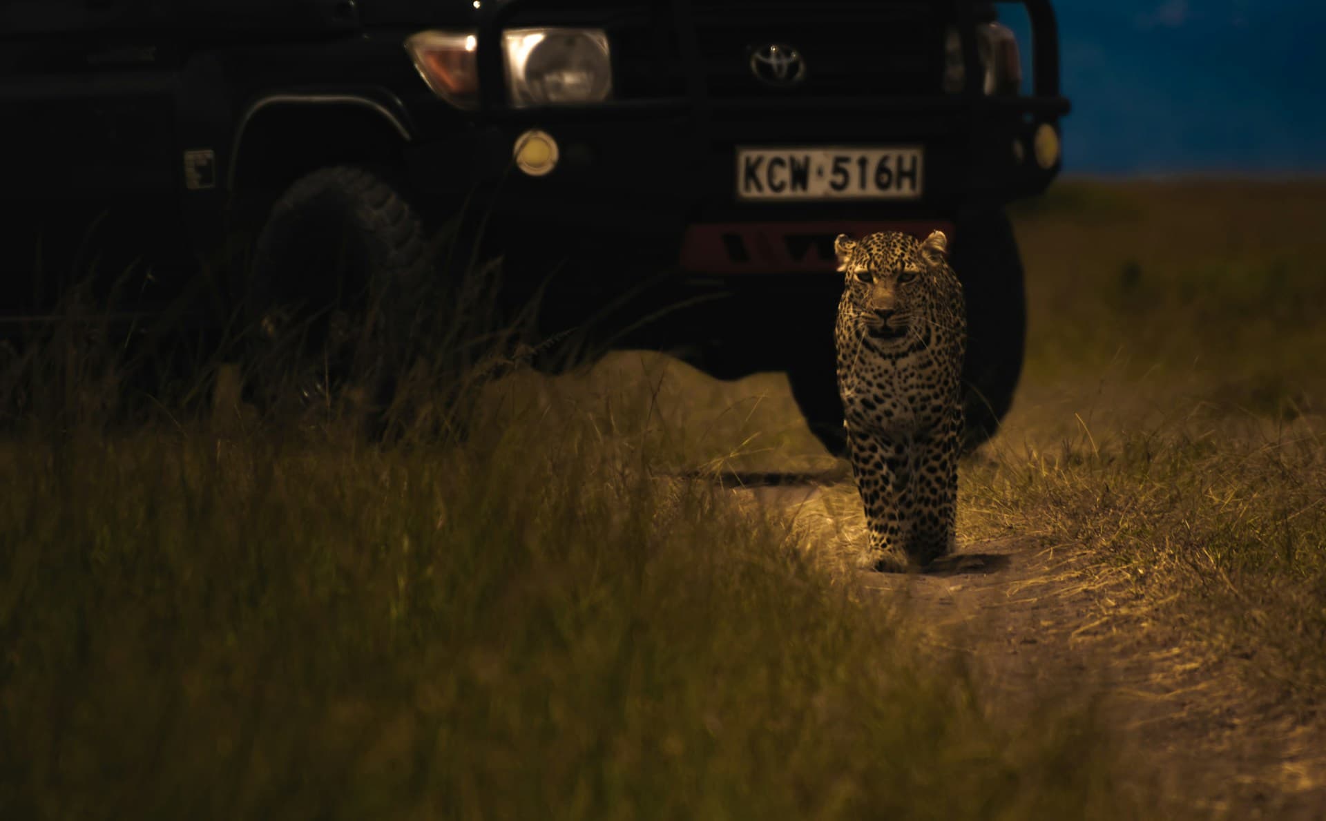 5 Day Midrange Safari - A taste of Tanzania