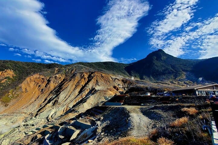 Tokyo to Hakone Customizable English Guided Private Tour
