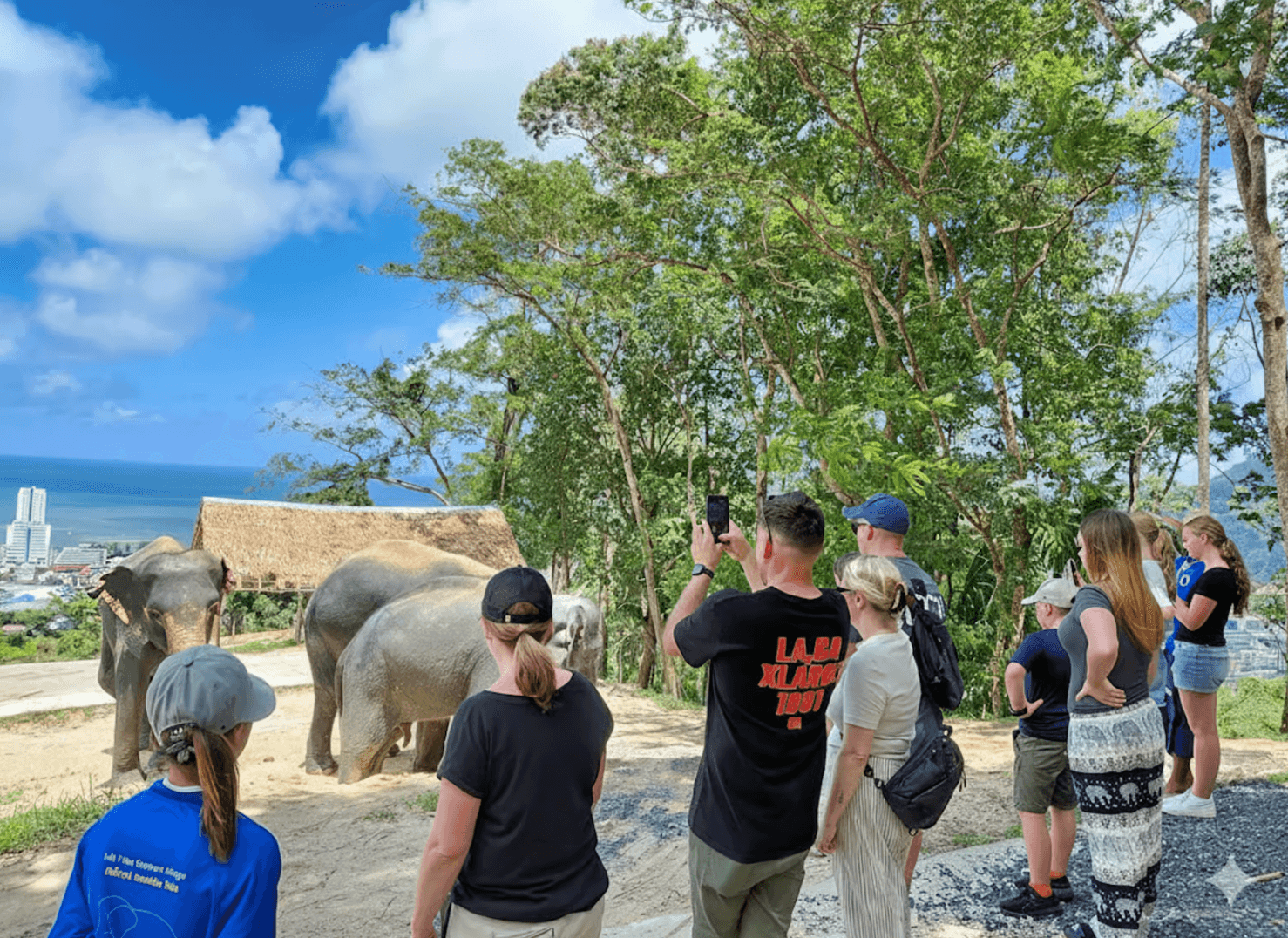 Family Session: Elephant & Kids