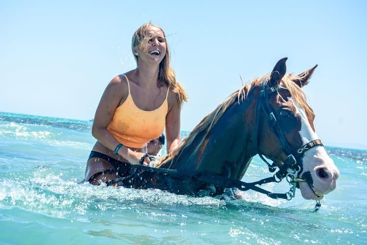 Hurghada: Desert & Sea Horse Riding Tour w/Optional Swimming