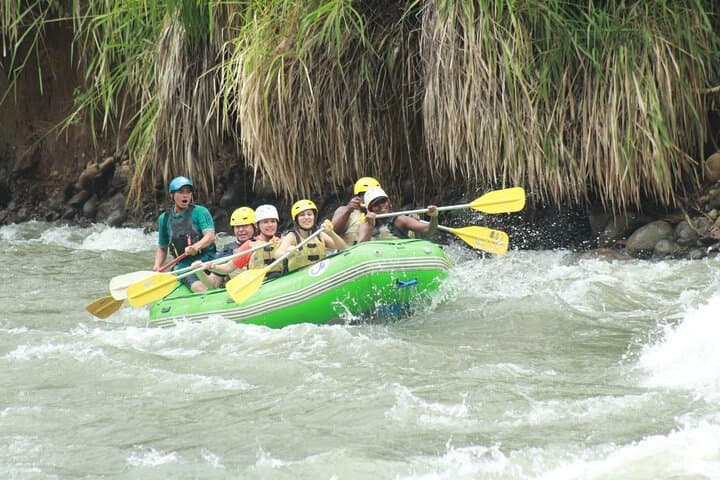 Full-Day Guided Adventure Tour in the Forest of San Ramón