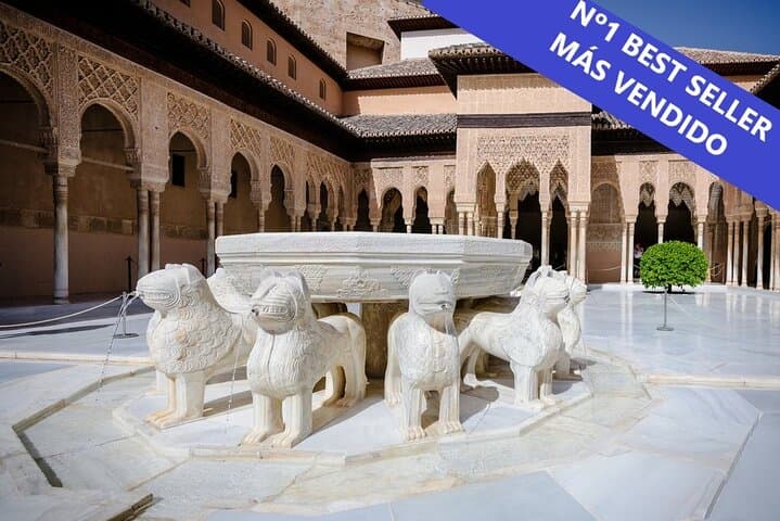 Complete Alhambra with tour guide - Avoid individual queues