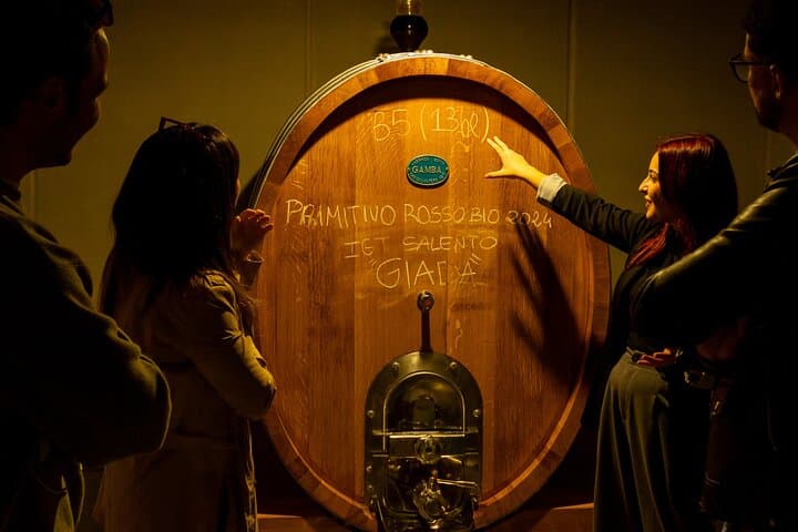 Winery Tour and Tasting, Discover the Organic Wines of Ostuni