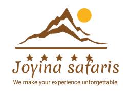 Joyina Safaris Africa