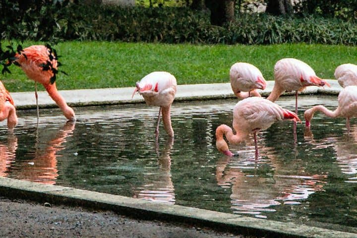 The Secret Milan – An Exclusive Stroll Beyond the Beaten Path