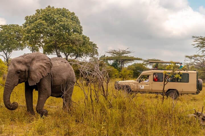 4 Days Selous Game Reserve Wildlife Encounter Safari