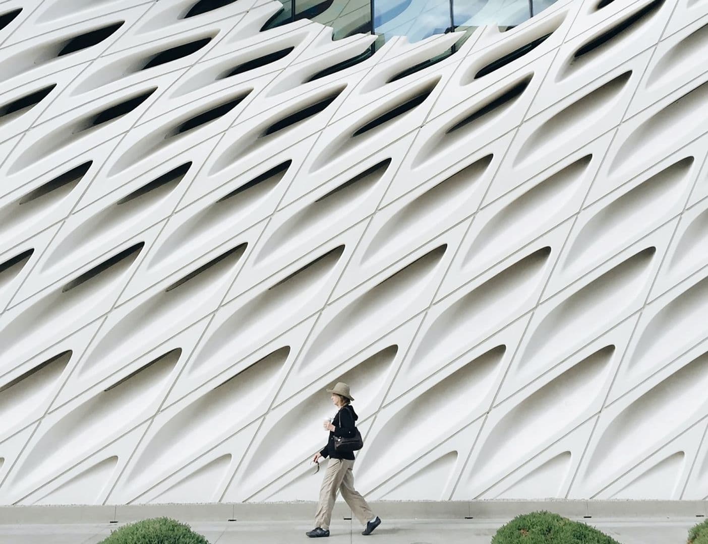 Broad Museum & Downtown Los Angeles: Ticket with In-App Audio Tour