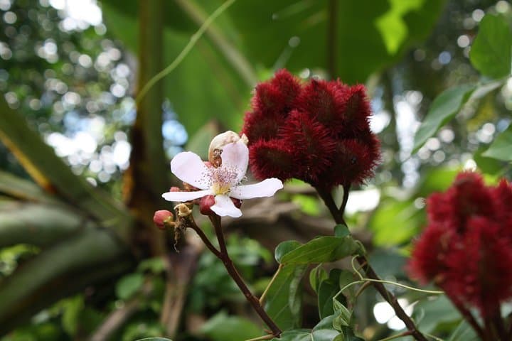 Spice and Fruit Tour