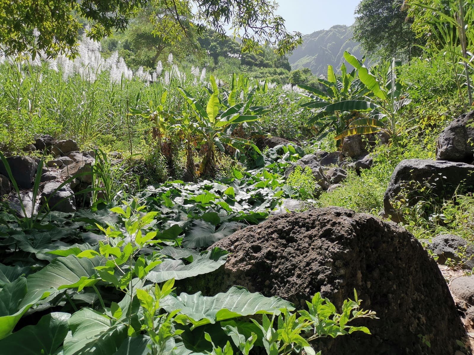 Gongon Valley Adventure: Scenic Hike through Serra Malagueta