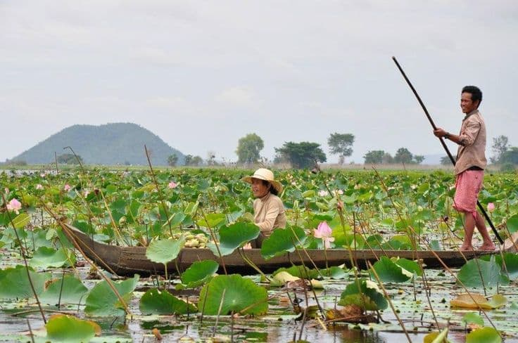 Siem Reap: Lotus Fields Guided Tour & Phnom Krohm Sunset 