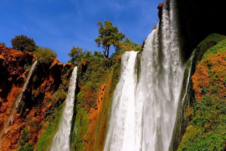 Ouzoud Waterfalls Private Day Trip from Marrakech