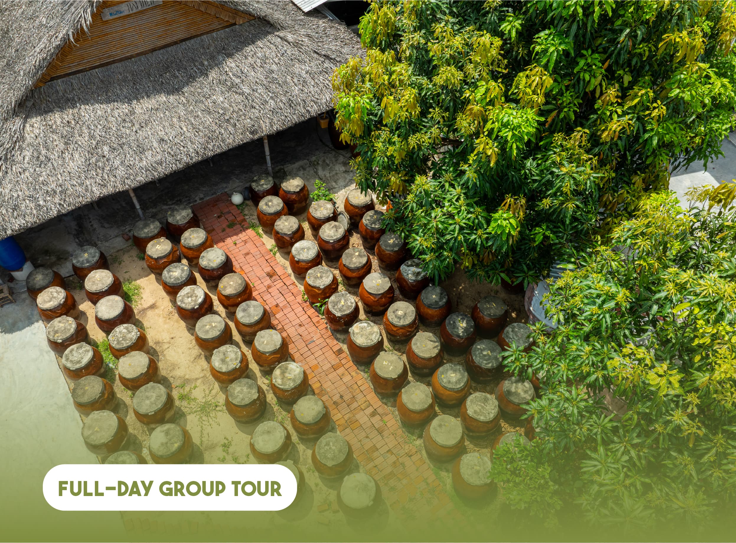 Full-day Cultural Cruise Discovering Hoi An's Treasures And Rhum Production
