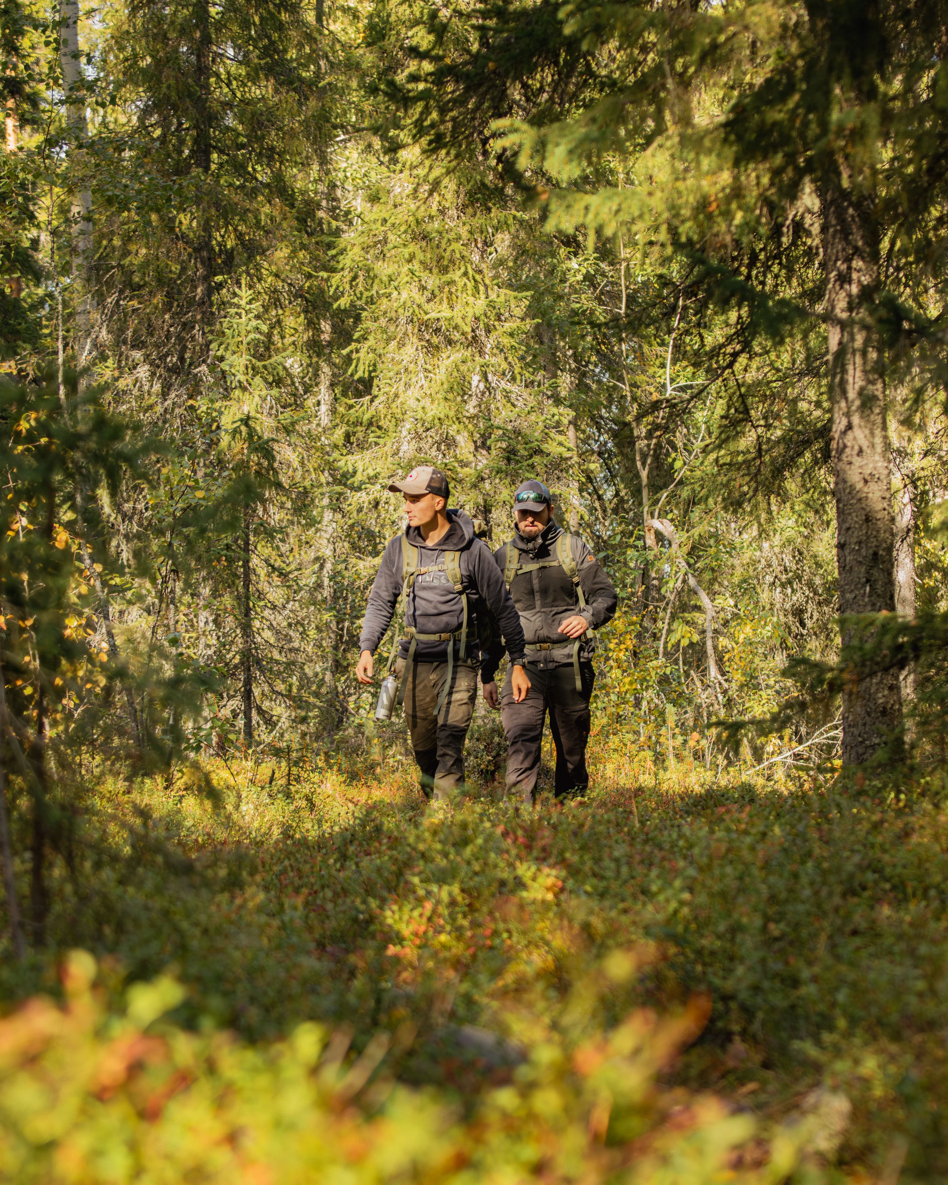 Magical Forest Hiking Adventure (Small-Group)