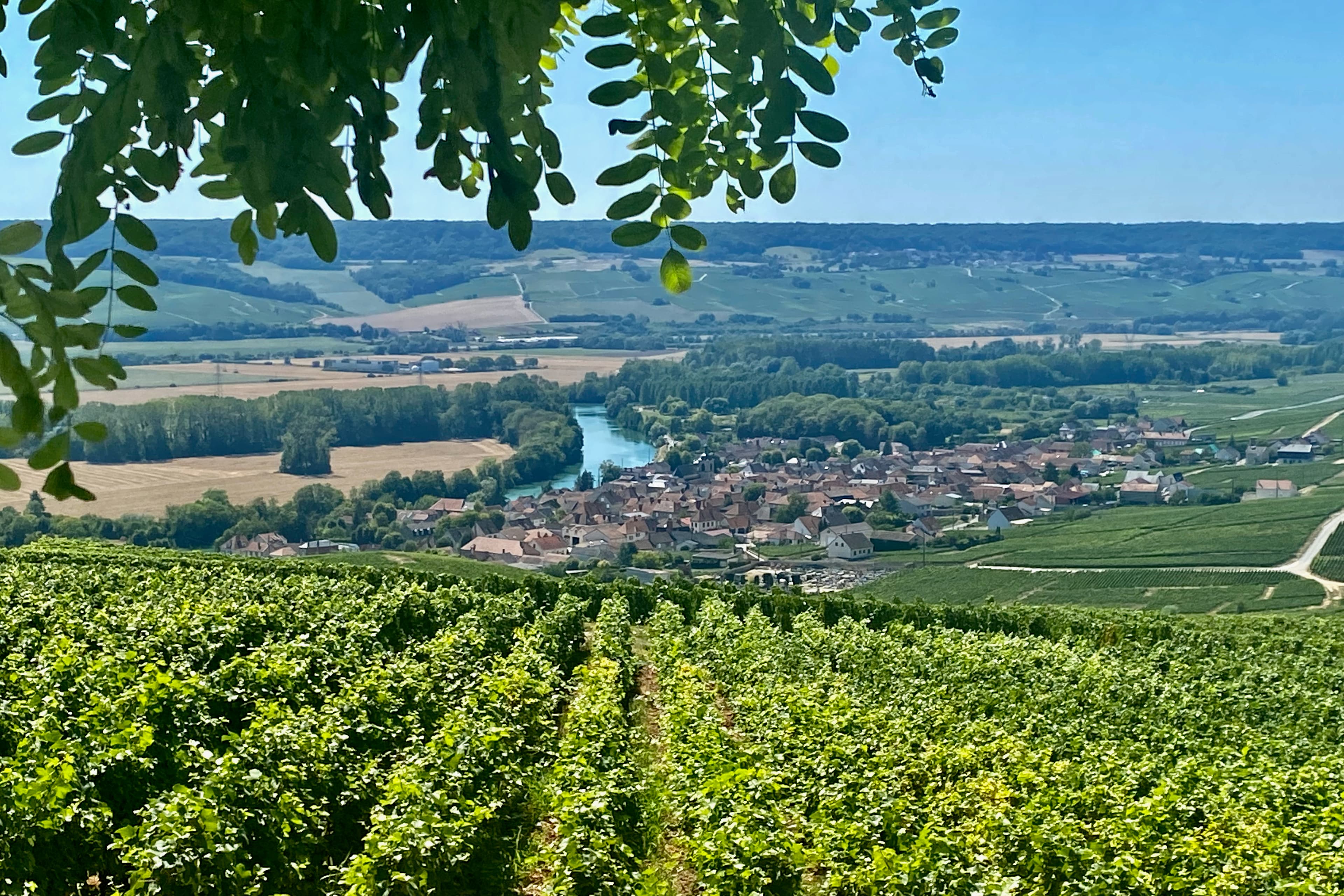 Moet et Chandon Veuve Clicquot Private Champagne trip from Paris.