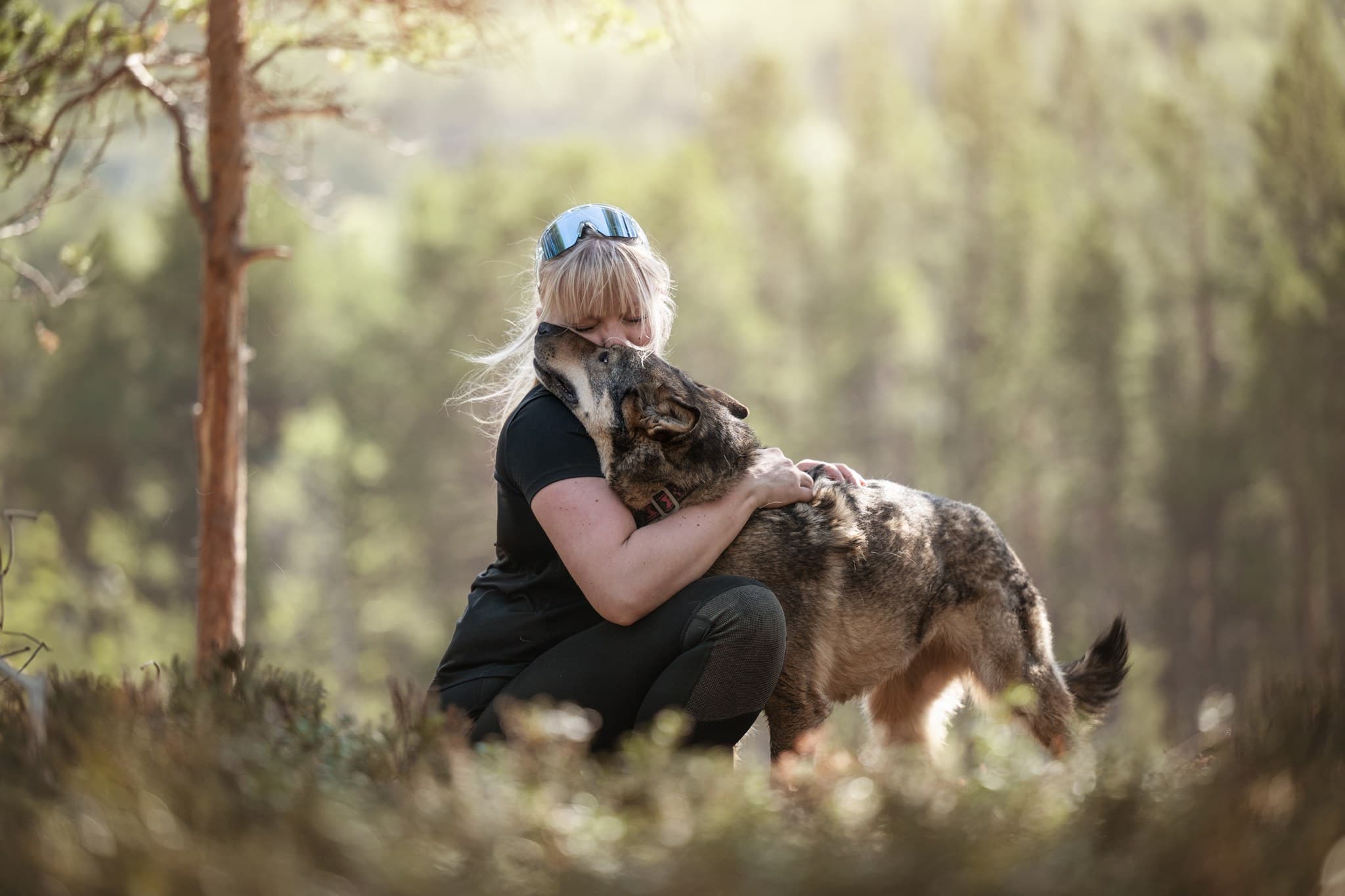 Private - Walk With Huskies In Levi (By request)
