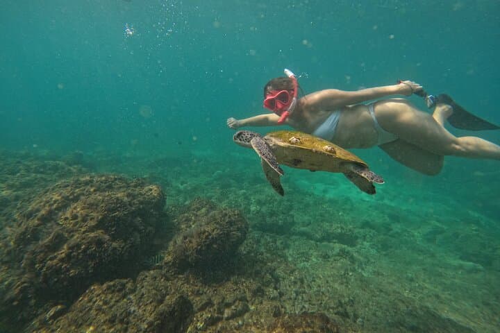 Private Snorkeling Trip, Dibba Musandam, Oman