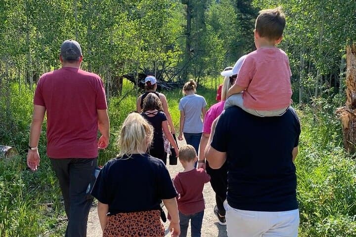 Guided Hiking Adventure in Yellowstone with Lunch 