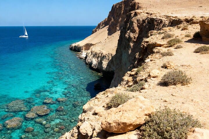 Ras Mohammed National Park Half Day Tour by Bus From Sharm