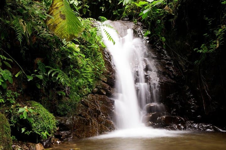 Private Mindo Cloud Forest Adventure