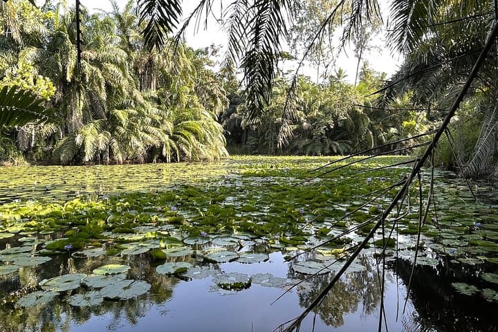 Private Hiking in Masingini Forest from Stone Town 