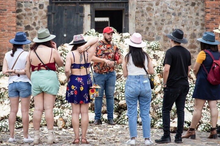 Private Tour one day of Adventure in Tequila and Orendain Tequila