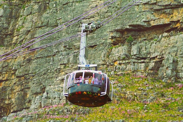 Table Mountain and Kirstenbosch Nature's Ultimate Duo Tour