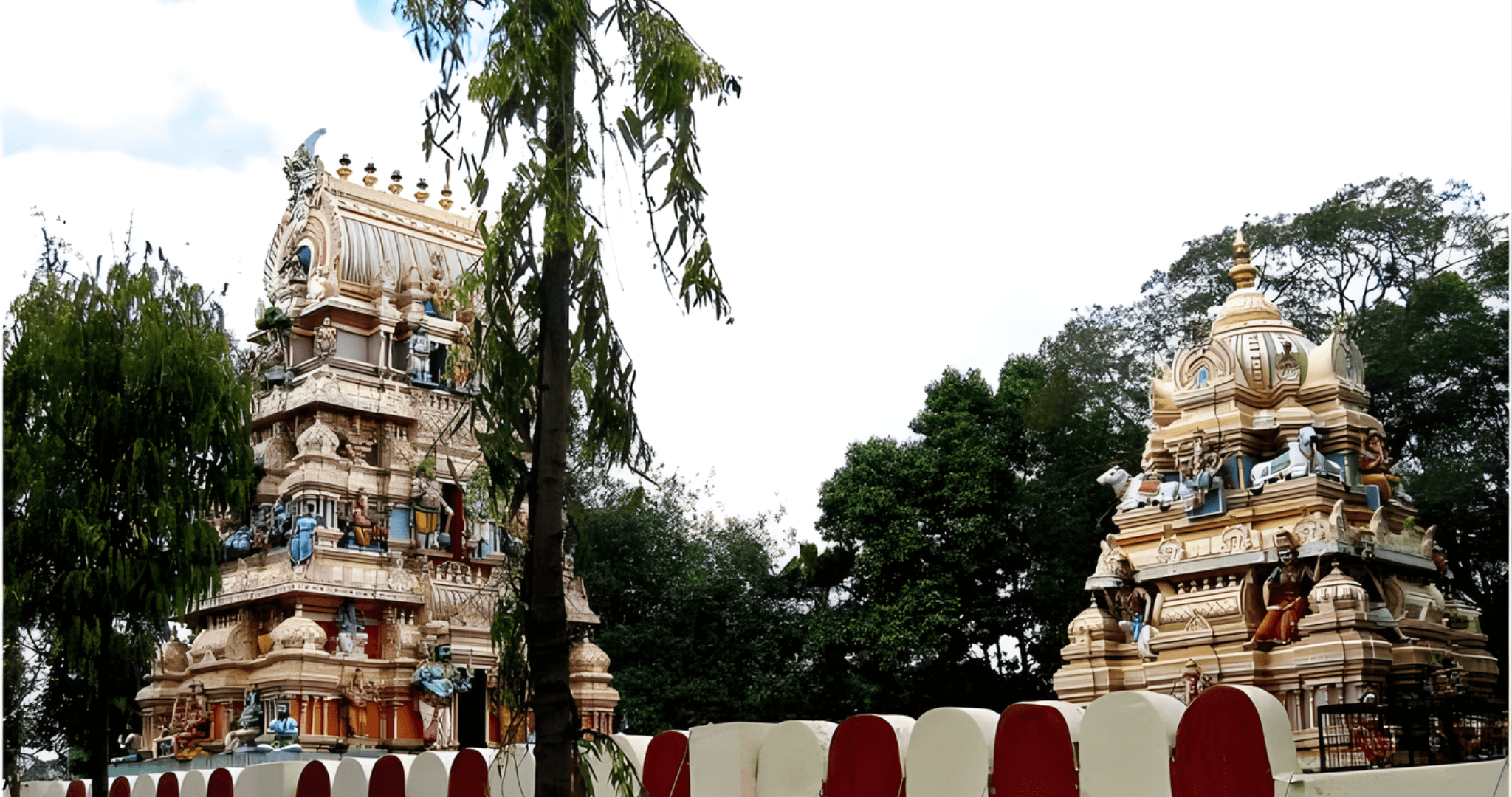 Bangalore's Best Walking Tour: A Local's Perspective