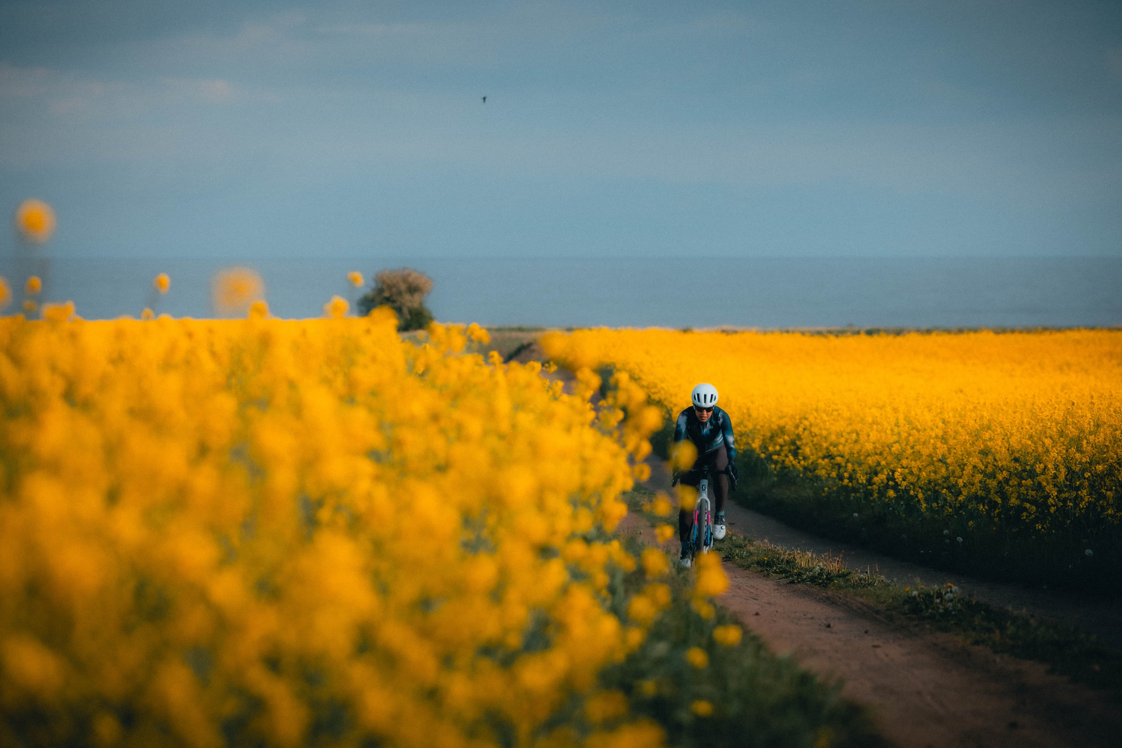 Gravel Camp Halmstad