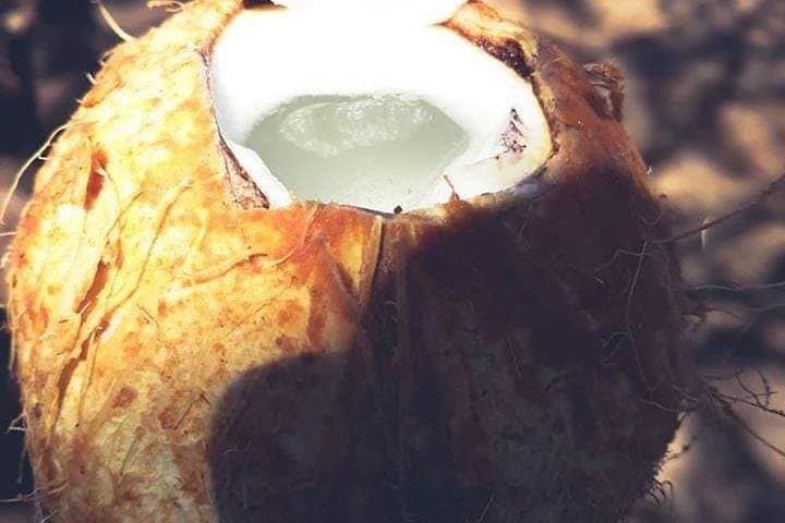 Santiago Island Experience- Culture, Nature & Tarrafal Beach