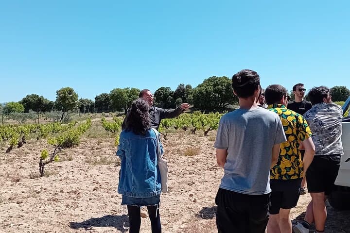 Madrid Wine Tour: Visit Two Wineries with Tastings