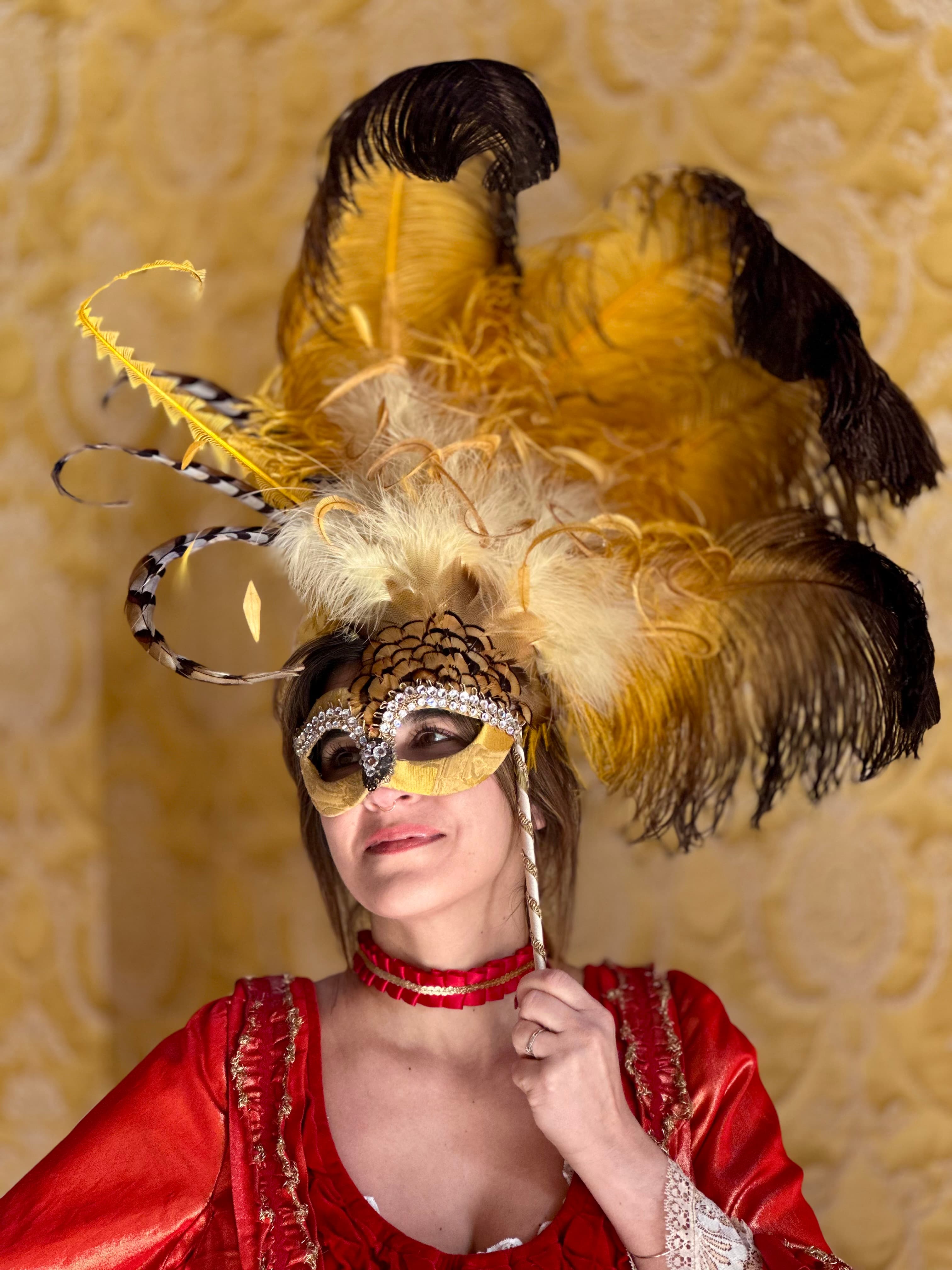 Venetian Carnival Tour: History & Dress-Up Experience