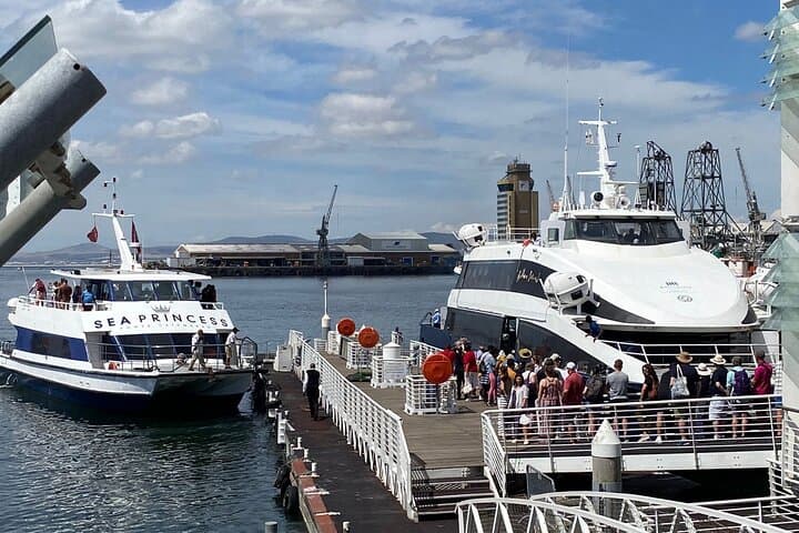 Private Tour of Robben Island e Nelson Mandela's Legacy
