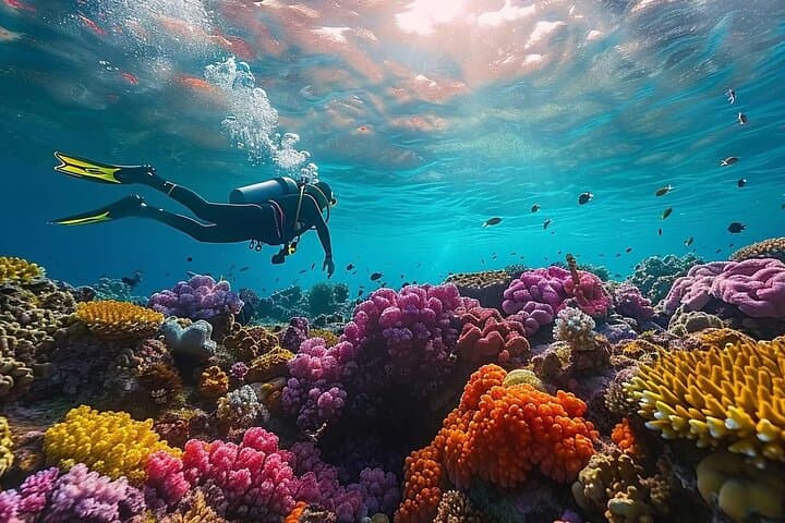 White Island & Ras Mohammed National Park from Sharm El Sheikh