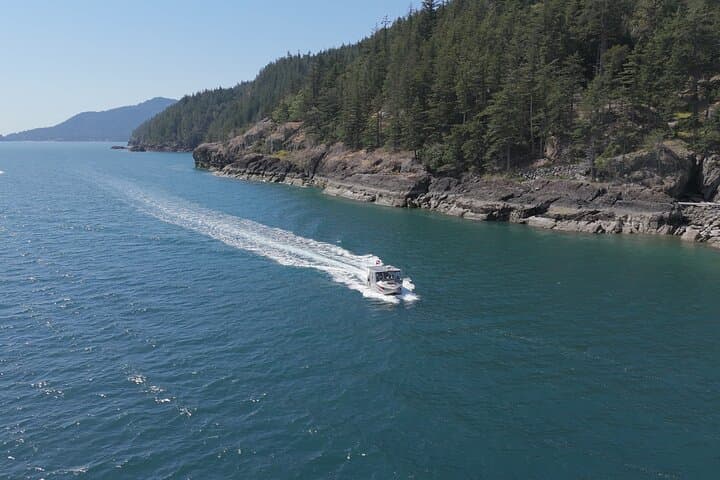 Vancouver UNESCO Biosphere Reserve Wildlife Scenic Boat Tour