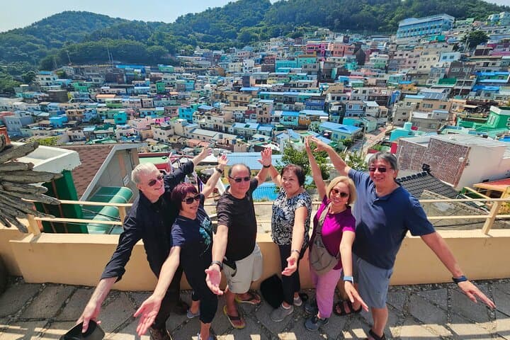 Private Minibus Tour in Busan for Cruise Ship Guests 8-15 People