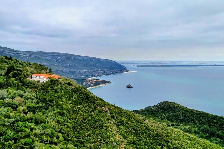 Setúbal Market, Tiles And Wine Private Tour From Lisbon