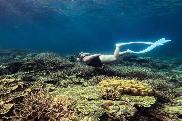 Port Barton Full Day Island Hopping with Buffet Lunch