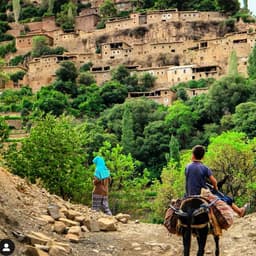 Imlil Guide Tour Sarl 