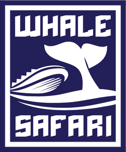 Whale Safari