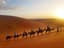 Sahara Holiday Tours