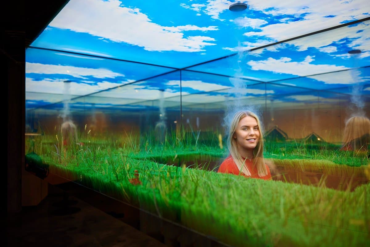 Selfoss in 1 Day for Couples - Guided introduction to skyr’s history and production