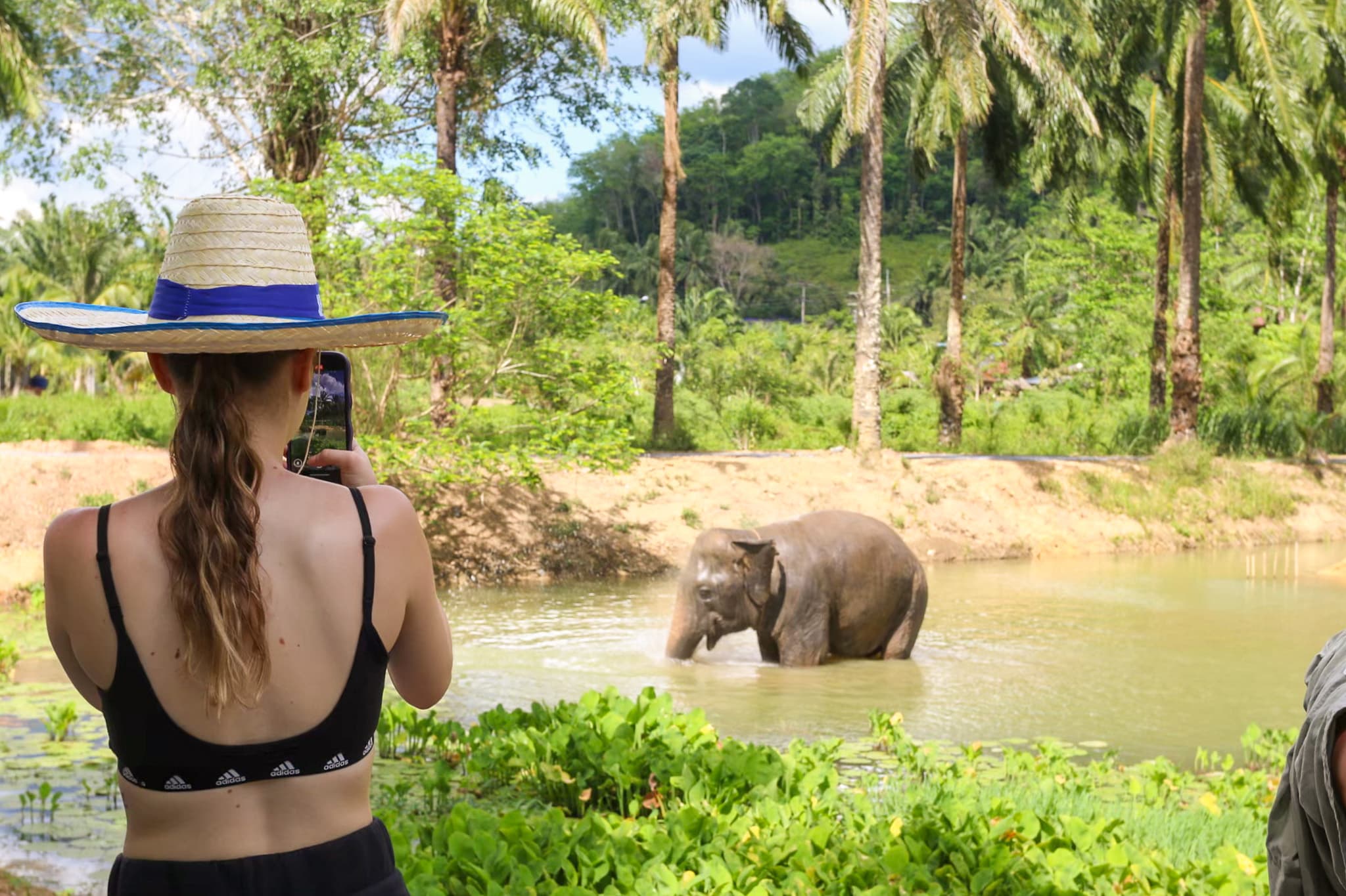 Ao Nang in 1 Day for Families - Intro to the sanctuary and elephant care