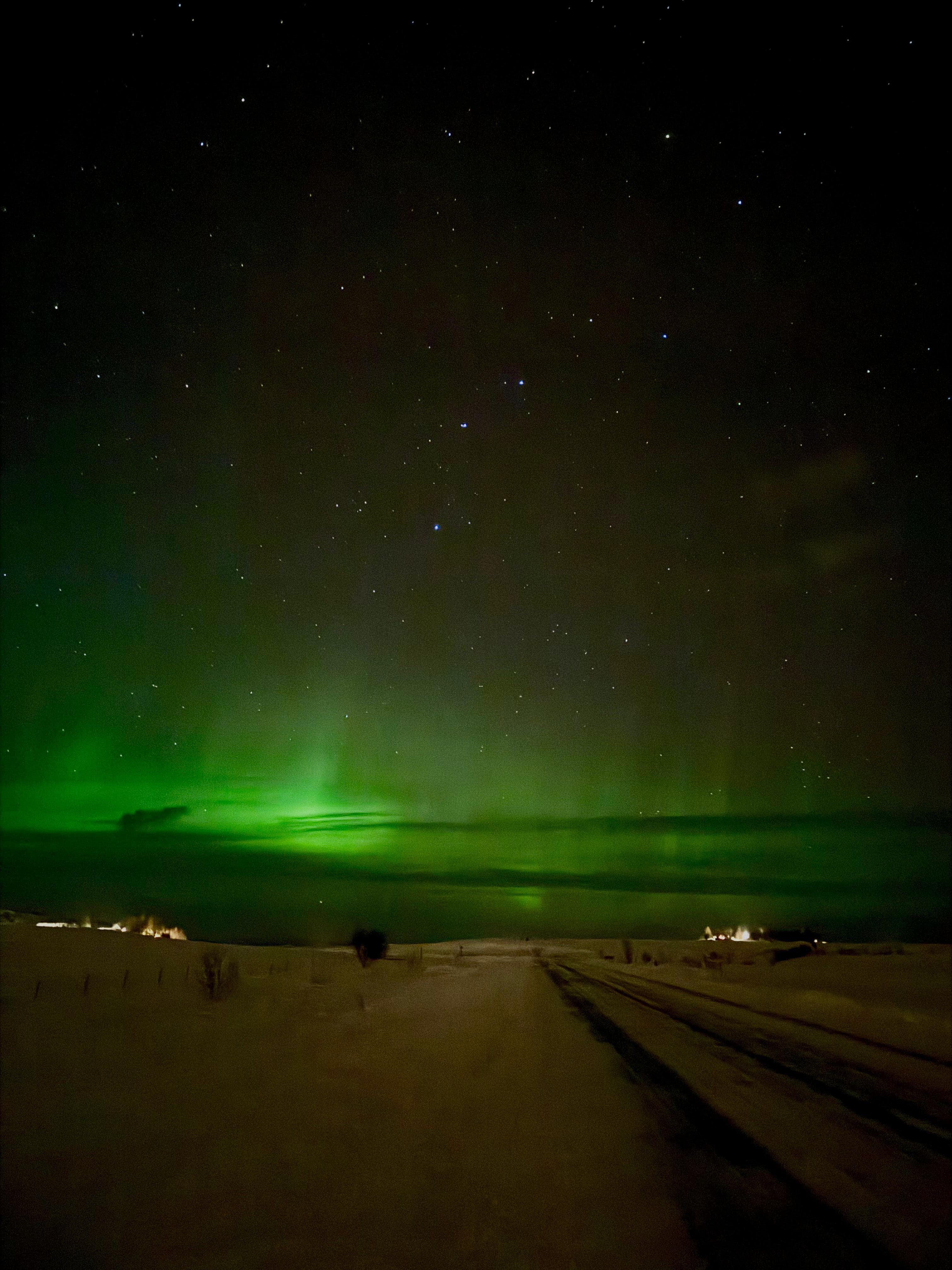 Reykjavík in 1 Day for Couples - Leave Reykjavík for dark-sky countryside to search for the Northern Lights