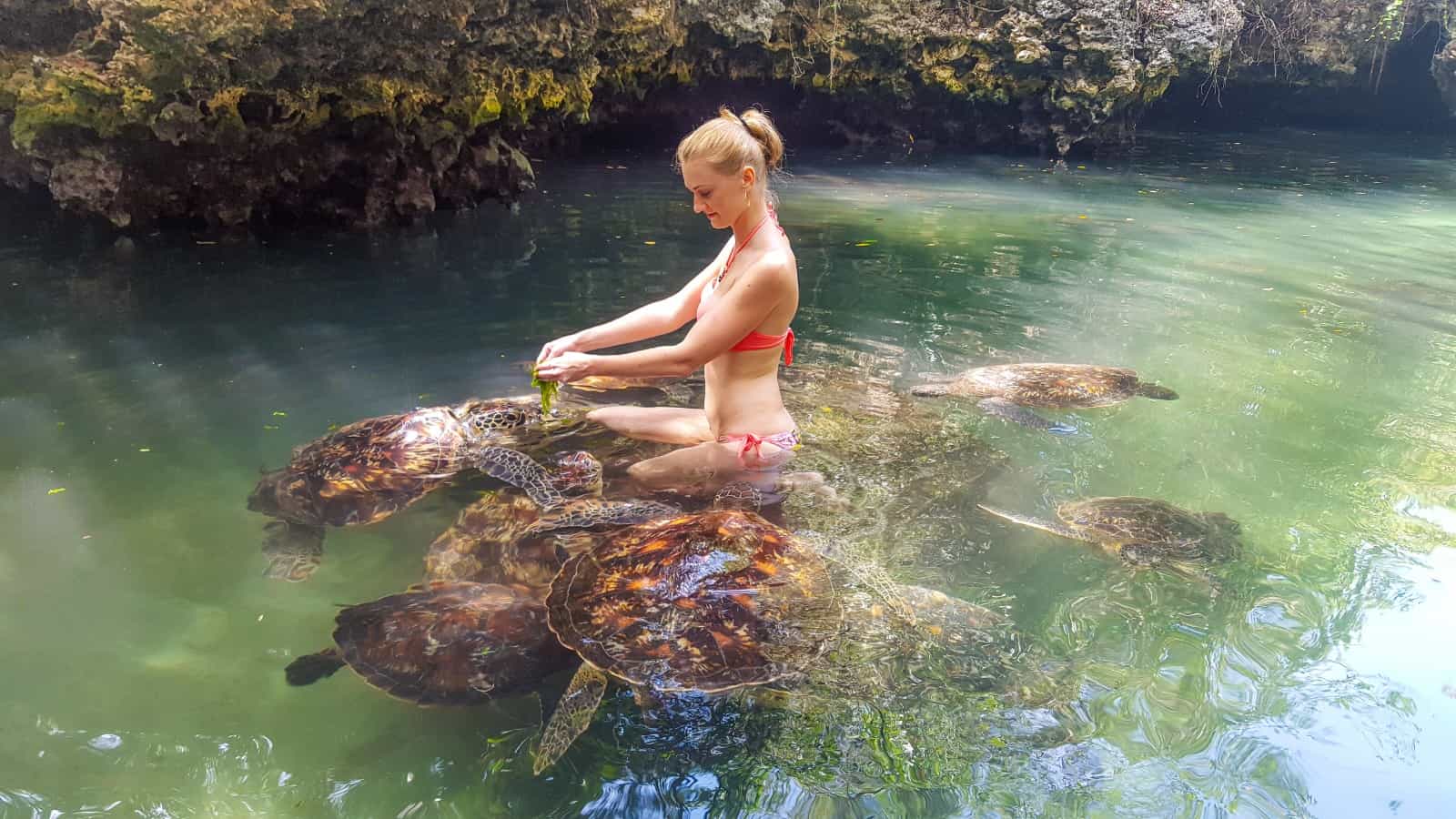 Zanzibar: Nungwi Turtle Aquarium Guided Half-Day Trip {nowsafari}