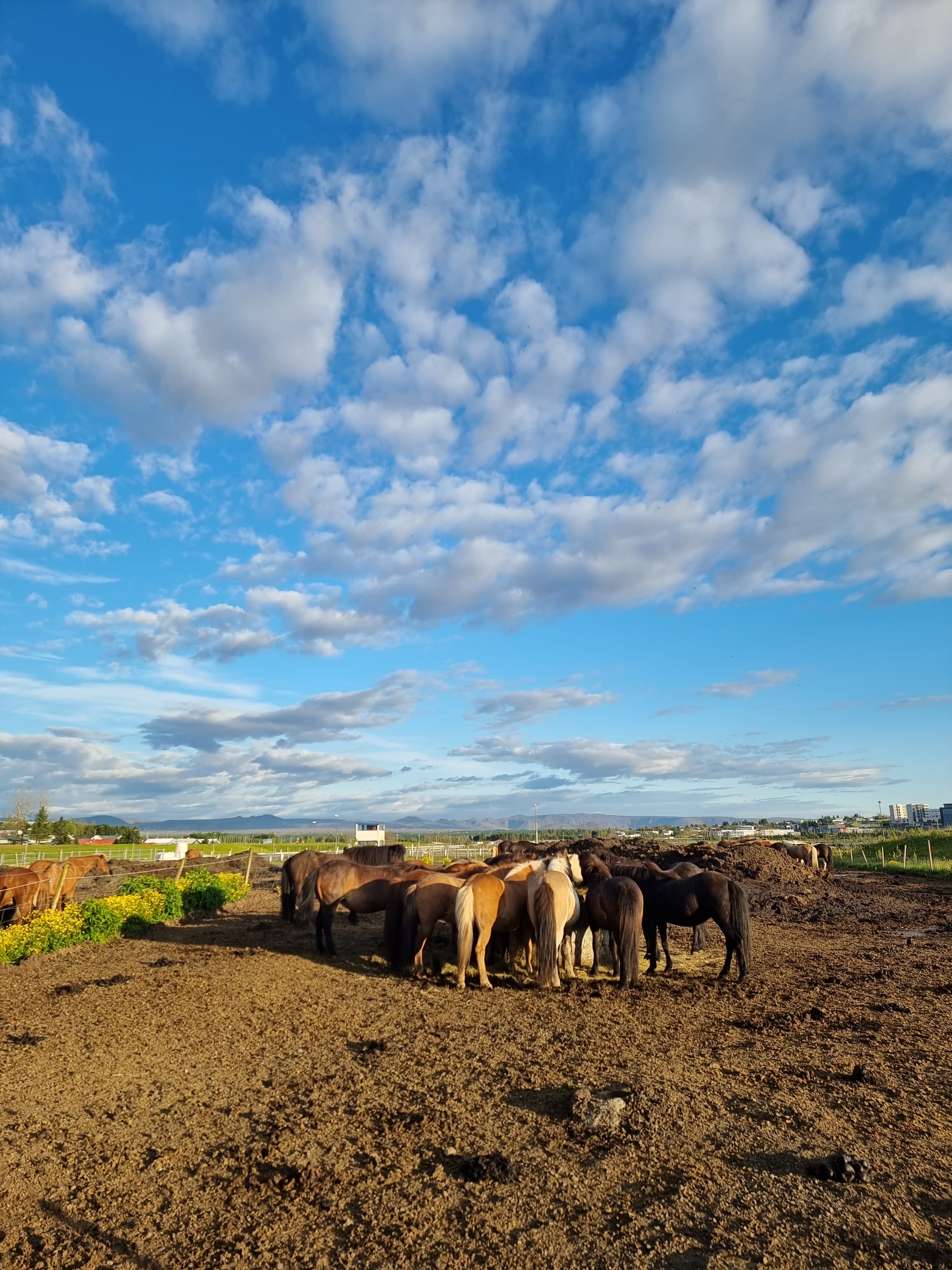 Gravel After Hours - Advanced Private Bike Tour