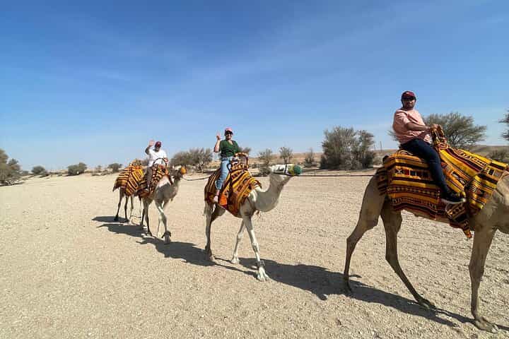 Discover Riyadh: Desert & Heritage with Camel Ride